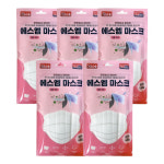 국내생산 3중구조 에스엠 마스크 성인용 흰색 10매입 5개 : 다산메디