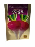 강화순무 씨앗 1000립 25년포장 미래 : 씨앗하우스