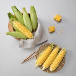 친환경 무농약 첫 수확 초당옥수수 특품 5개 10개 15개 : 북상주곶감