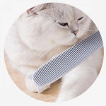 OH 그루밍 고양이 브러쉬 : 묘하개끌려