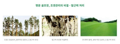 발근력 2L 뿌리활착발근제 : 미래로팜