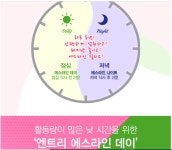 하이리빙 엔트리 에스라인 데이 앤 나이트 [HL쇼핑몰] : HL쇼핑몰