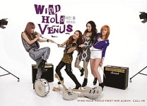비너스뮤직홀 | [중고] 와인 홀 비너스 (Wine Hole Venus) - Call Me : 피트의 뮤직월드