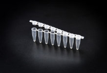 SPL PCR Tube 60001,60008 : 영일교역