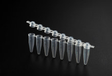 SPL PCR Tube 60001 60008 60011 60018 : 영일교역