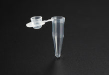SPL PCR Tube 60001,60008 : 영일교역