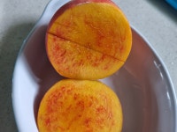 (현재주문건 발송중) 치악산 명품 대옥황도 복숭아 맛보기 힘든 품종 온라인 특별판매 농장에서 현재 배송중 : 농장고