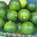 풋귤(청귤)10kg예약판매(8월15일이후) : 효돈 수농원