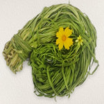 마른 궁채나물 1kg 건조 말린 건 줄기 상추 500g 상추대나물 건궁채 : 산마을농장