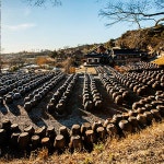 항아리 옹기 장독대 간장 된장 메주 한식 식당 파르텔 민속벽지 시트지 롤스크린 : 으뜸데코
