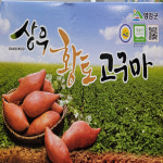 영암 햇고구마 베니하루까 10kg 꿀밤고구마 야식용 간식용 호박밤 : 건강그린mall