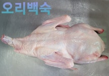 생오리 2kg내외 백숙용 로스용 생오리탕용 살아있닭 : 살아있닭