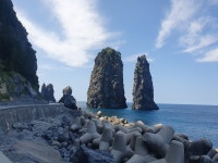 [후포항출발]울릉도 독도여행 1박2일  패키지 : 울릉도.독도심층수