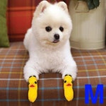 강아지 애견 미끄럼방지 양말 오리 옐로우 M 1P : 묘하개끌려
