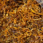 [대구 달서구 배달] 쫄깃한 오징어채볶음 150g [와룡 와룡반찬] : 동네시장 장보기