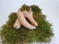 산양산삼 효능 천마 하수오 면역력증진 혈관건강 갱년기 흰머리에좋은음식 : 백초천하