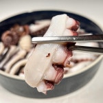 피문어 동해 대왕 문어 숙회 활 자숙 참문어 대문어 시세 : 산지직송 삼천상회