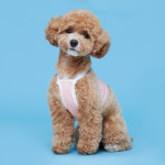 플로트 쿨링 크롭탑 강아지티셔츠 2컬러 S-2XL 애견쿨링티 : 펫밀리마트