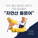[명신수산] 3kg (4-10미) 남해안 여수 문어 돌문어 참문어 생문어 직접잡는 국산 생물문어 : 명신수산