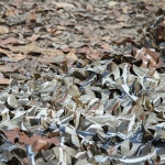 코스트코타프 카모 차양막 위장막 자동차 차 식물 덮개 농막 작업장 그늘막 타프스크린 117 : 미스터엄