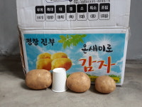 강원도 햇감자 쪄먹는 분감자 두백감자 : 달오개농장