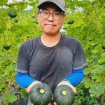 타박달달 무농약 미니단호박 밤호박 보우짱 3kg : 지구별농장