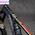 다이드브로 RRR 컬렉션 자전거보호필름 스페인산 DYEDBRO FRAME PROTECTION : 아이디 바이크