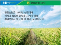 농협 신동진쌀 20kg 선화미인 익산 쌀20키로 알찬 맑은 백옥 진상미 20 흰쌀 신동진미 : 드리밍토리