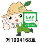 사과 청송 부사 시나노골드 얼음골 홍로 5kg 10kg : 청송사과 태송농원