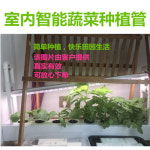 스마트팜 가정용 식물재배 화분 녹양정 무토재배 수경배 시설 실내 베란다 가정 태양광 : 드림체이서