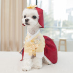 명품 한복 핸드메이드 강아지 추석 설날 반려견 애견 원피스 고양이 다솜 : 모모스페이스