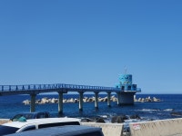 [후포항출발]울릉도 독도여행 1박2일  패키지 : 울릉도.독도심층수