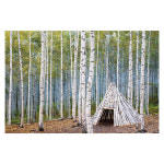 숲속배경현수막 6111 자작나무 어린이집 180×120cm : 키즈디자인