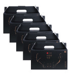 이경제 더힘찬 녹용 시즌6 66ml x 30포 x 5박스 : 더클라우드세븐