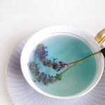 꽃을담다 플라워티스틱 샘플러 8개입 홈카페 꽃차스틱 선물 : 꽃을담다