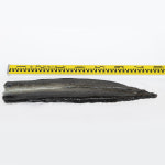 대물 민물장어 상천장어 특대사이즈 순살 1kg 선물용 민물장어 국내산 : 상천장어