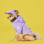 반려동물옷 펫 의류 LIKE 후드 스웨터 강아지옷 패션 21년 소의 봄과 여름 신작 : 비바몰