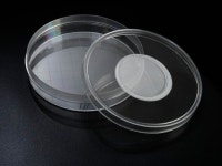 SPL Insect Breeding Dish & Jar 310050 : 영일교역