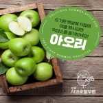 새콤달콤 여름사과 햇 아오리 썸머킹 사과 청사과 가정용 중과 5kg 10kg : 사과꽃필무렵