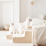 울리 강아지 계단 베이직 스텝 3단 : 울리