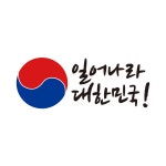 차량용 스티커 대한민국 스티커 태극마크 : 자꾸 꾸밈