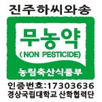 무농약 생와송 5kg 진주하씨와송 산지직송 : 진주하씨농원
