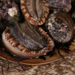 [마더트리-해녀밥상]자연산 완도 전복 11-13미/1kg(보자기포장무료)(금어기 9/1~10/31) : 마더트리