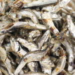 완도 국물멸치 250g : 완도선창수산