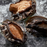 완도 활전복 1kg (11~13미) : 완도선창수산