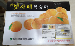 명품 감곡 햇사레복숭아 과수원 직판 3 kg : PEACH-WORLD
