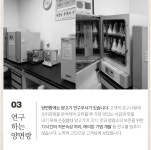 프리미엄 램 양고기 설 설날 추석 명절 선물세트 냉동 숄더렉 고급 양갈비 숄더랙 1.3k,1.8k,3k : 만물양품
