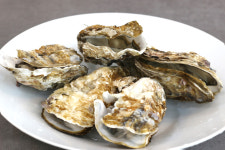 통영 사계절 삼배체굴 통굴/반손질하프셀 1kg : 마이 어니스트 테이블