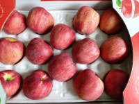 햇사과 홍로사과 사과선물세트 5kg : 마루사과