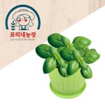 [포리네농장] 바질 쌍떡잎식물 키우기 키트 (봄,여름 식물) / 그린스마트 미래학교 : 아인몰